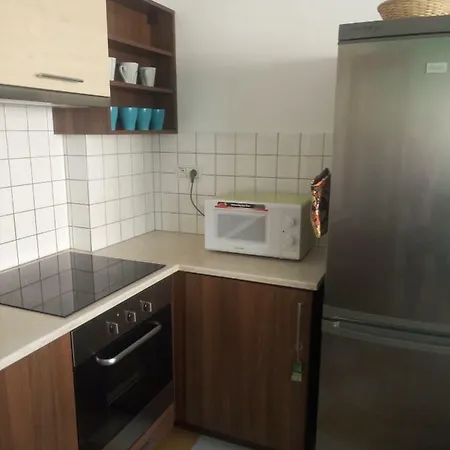 Apartment Klapkova Prag